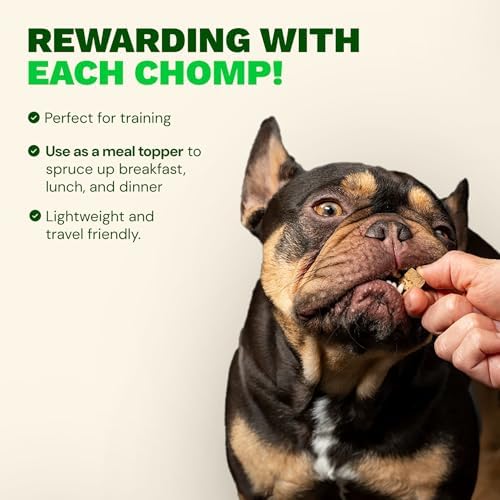 Get Joy Freeze Dried 100% Beef Heart Dog Treats, 16oz | Single Ingredient Organ Meat, High Protein Raw Dog Food Topper, Snack & Training Rewards | Grain Free, Gluten Free, Filler Free