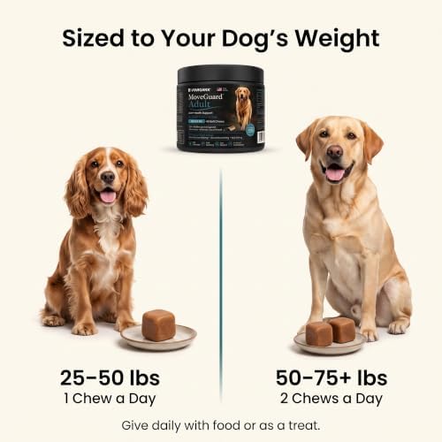Adult/Senior Dog Hip & Joint Supplement Chews, Glucosamine for Dog