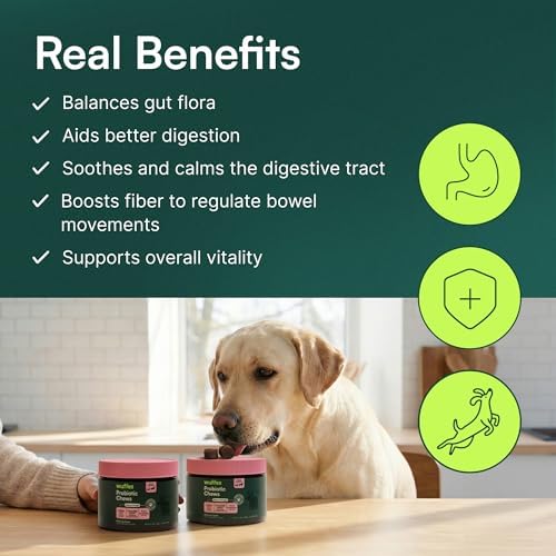 Wuffes Probiotic Chews for Dogs, Gut & Immune Support