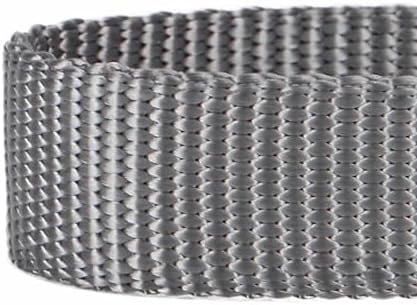 Blueberry Pet Essentials Matching Martingale Dog Collar and Leash Set in Flint Gray, Heavy Duty Nylon Adjustable Collars with 5 ft Leash for Small Dogs