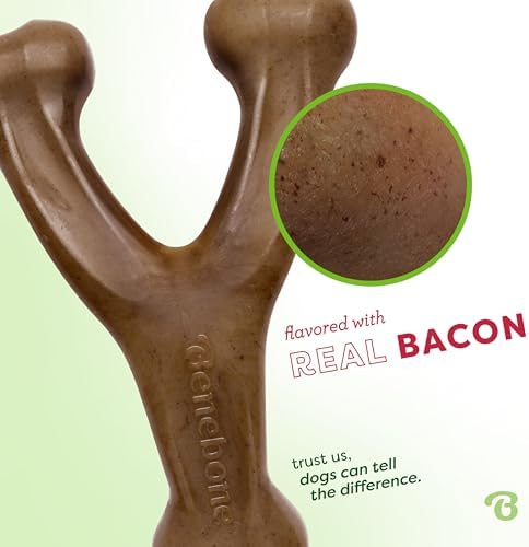 Benebone 2-Pack Wishbone Toy for Aggressive Chewers, Real Bacon, Medium | Durable, Multipack, Super Chewer, Made in USA, Dog Bones, Long-Lasting, A Size for Every Dog, Keeps Them Busy