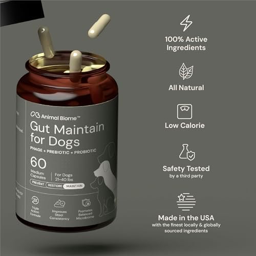 Animal Biome Medium Dog Pre & Probiotics, S Boulardii, Gut Maintain, 60 Ct