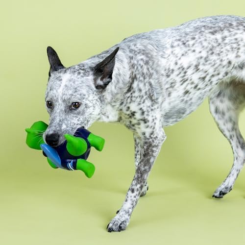 Fringe Studio Good Vibes, HIGH Tides Latex Dog Toy, Pet Shop Collection (366030)
