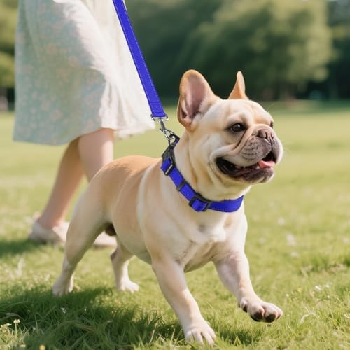 Joytale Reflective Dog Collar, Adjustable Neoprene Padded, Navy Blue M