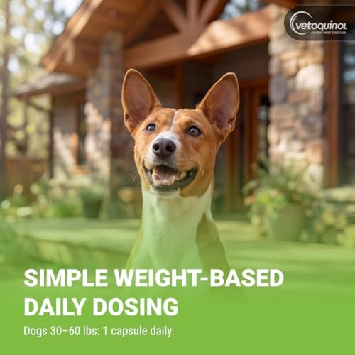 Vetoquinol Triglyceride OMEGA - Fish Oil for Dogs & Cats - Supports Healthy Skin, Coat & Normal Immune Response - Supplement with Vitamin Blend for Heart, Eye, Bone & Muscle Support - 60 Capsules