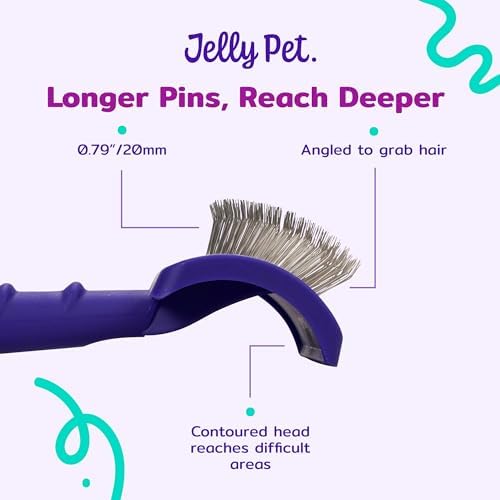 Jelly Pet Universal Slicker Brush for Dogs, Small, Purple