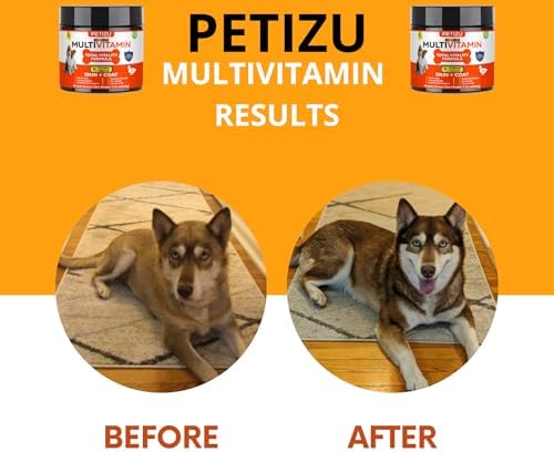 Dog Vitamins Chews- Treats – Glucosamine Chondroitin for Joint Support + Digestive Enzymes & Probiotics – for Small Large Breeds-Vitamins Multivitamin for Skin, Coat & Immune Health