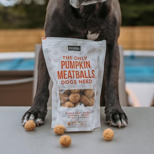 Natural Rapport Freeze-Dried Pumpkin Meatballs, Beef & Turkey, 4 oz