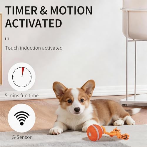 Interactive Dog Toy, Automatic Rolling Ball with Bird Sound, 3 Mode Pet Toy | Smart rolling ball, dental chew rope, Type-C charge, LED indicator, indoor exercise for small medium dogs cats, orange