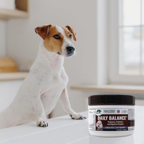 Dogzymes Probiotic Daily Balance - Supplies Nutritional Support and Live microorganisms for intestinal Well-Being as Well as enzymes for Proper Digestion. (8 Ounce)