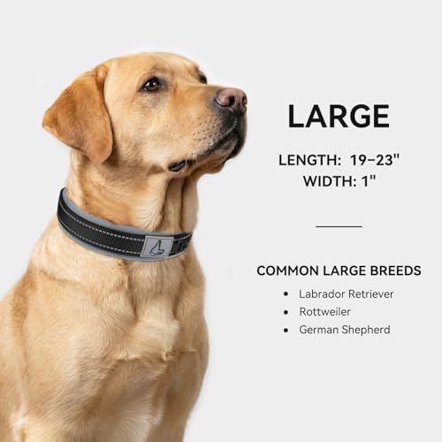 Joytale Reflective Dog Collar for Large Dogs with Wide Padding, Black