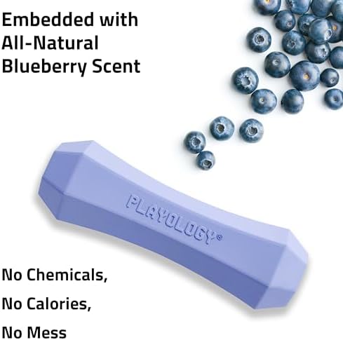Playology Squeaky Chew Stick - Scented Dog Toy - Medium, Blueberry Scent | Rubber Construction, All Natural Scent, Durable Design