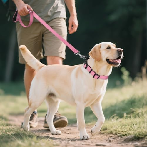 Joytale Reflective Dog Collar, Adjustable Neoprene Padded, Pink XL