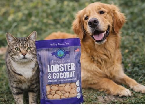Shepherd Boy Farms Freeze Dried Lobster & Coconut Dog and Cat Treats, 5oz
