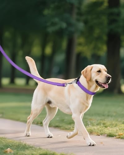 Joytale Feather-Light Dog Collar for Medium & Large Dogs, 1", Purple