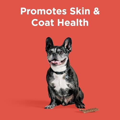 BIXBI Skin & Coat Support Beef Liver Jerky Dog Treats, 12 oz - USA Made Grain Free Dog Treats - Antioxidant Rich to Support Shiny, Full Bodied Coats - High in Protein, Whole Food Nutrition, No Fillers