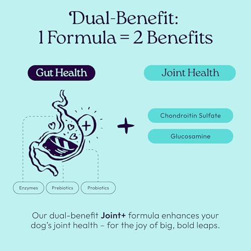 WellJoy Joint Dog Treat + Glucosamine, Chondroitin, GutBoost, 30ct