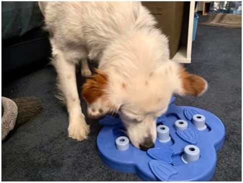 Interactive Dog and Cat Games Treat Hiding Challenge Mental Stimulation with Rewards (11.6 Inch Hide and Slide Game)