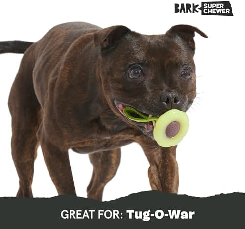 BarkBox BARK Sun Power Tug Rope Toy - for Dogs - Medium | & Puppies