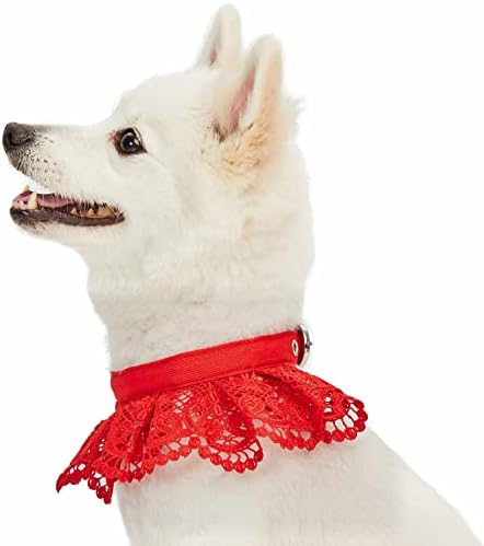 Blueberry Pet Floral Lace Adjustable Dog Collar in True Red with Metal Buckle, Neck 17-20.5", for Large Breed