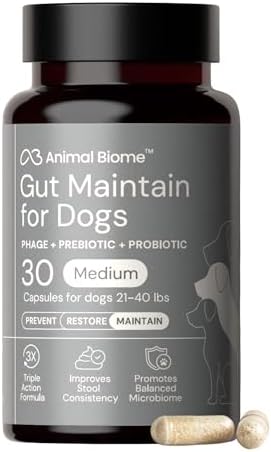 Animal Biome Medium Dog Pre & Probiotics, S Boulardii, Gut Maintain, 30 Ct
