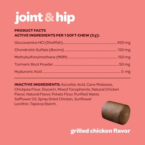 Hip and Joint Chews for Dogs | Dog Glucosamine Chews for Comfort & Mobility with Chondroitin MSM & Turmeric | Dog Joint Supplement for All Ages & Sizes | NASC Certified & Made in the USA | 60 Chews
