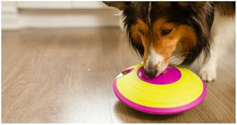Interactive Dog and Cat Games Treat Hiding Challenge Mental Stimulation with Rewards (7.5 Inch Treat Maze Game)