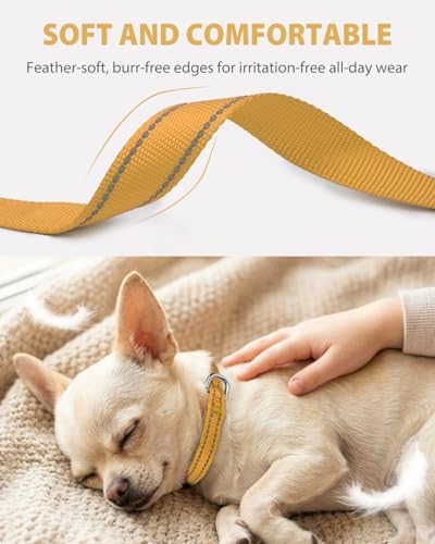 Joytale Feather-Light Puppy Collar for Extra Small Dogs, 3/8", Khaki