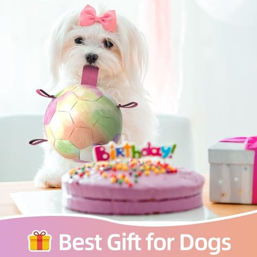 QDAN Dog Balls, Dog Herding Ball, 8 Inch Large Dog Soccer Ball with Strap | Durable Outdoor Dog Toys for 30-90lbs Medium Large Dogs, Interactive Pet Toys Tug of War, Pet Birthday Gifts,Gradient Rainbow