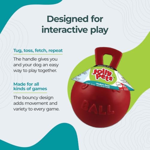 Jolly Pets Dog 6-Inch Tug-n-Toss, Red (406 RD),6 Inches/Medium