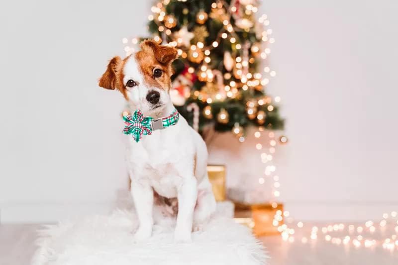 Lionet Paws Christmas Dog Collar with Flower, Dog Flower Collar with Metal Buckle for Dogs and Cats, Adjustable Comfortable Dog Collar Girl Gift, S, Neck 10-16 in