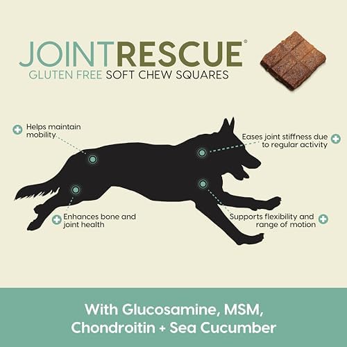 Ark Naturals Joint Rescue Dog Chews, Lamb Flavor, Joint Supplement with Glucosamine & Chondroitin, 1 Pack