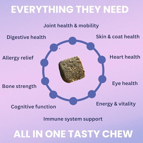 Under the Weather Multivitamin for Dogs | Vet Formulated Daily Canine Health Supplies for Immunity, Skin, Coat & Joint Support | All-in-One Multivitamin for Dogs of All Breeds & Sizes | 60 Count