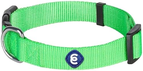Blueberry Pet Essentials X-Small Dog Collar in Neon Green | Adjustable & Eco-Friendly Durable Nylon Strap | Classic Collar for X-Small Dogs, Boy & Girl Pets