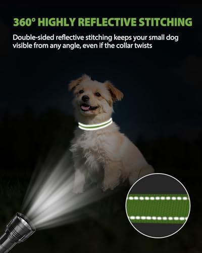 Joytale Feather-Light Dog Collar for Small & Medium Dogs, 3/4", Green