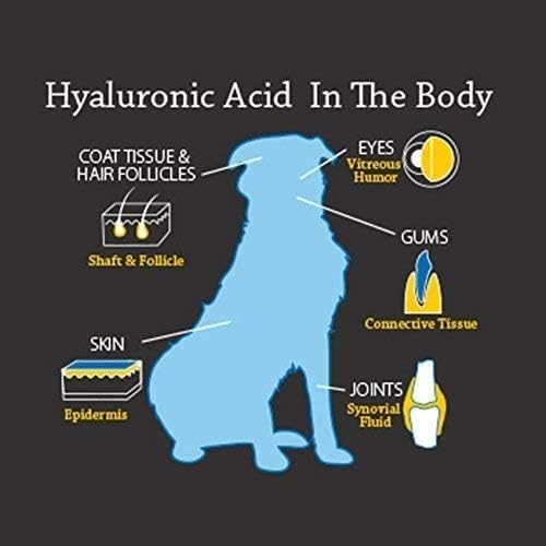 Hyalogic HyaFlex Pro Pure (8 fl oz) - Canine Hyaluronic Acid & Zinc Dog Supplement - Joint & Immune Dog Health Supplies - Liquid Canine Joint Supplement - Promotes Healthy Cartilage & Flexibility