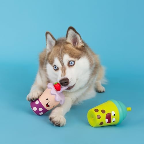 Fringe Studio Dog Toy Set, Best-Teas, 2Pc Mini, Latex, Pet Shop Collection (368012)