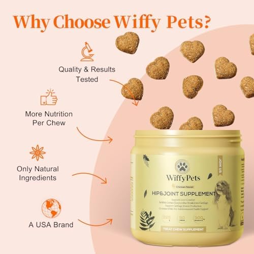 Hip and Joint Supplement Dogs with Glucasamine for Dogs, Hip Pain Relief for Small, Medium and Large Breed, Hip and Joint Chews for Dog MSM, Chondroitin 90 Count, Chicken Flavor