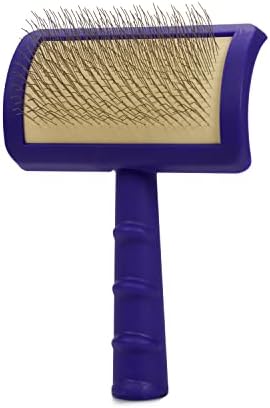 Jelly Pet Universal Slicker Brush for Dogs, Small, Purple
