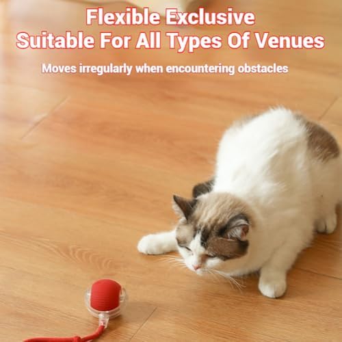 2026 New Dog Toy, Interactive Fast Moving Toys Balls with Birdsong, 360° Smart Automatic Rolling Electric Dog Ball Toy with Rope for Dogs and Cat Indoor Play (Red)