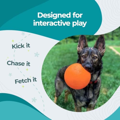 Jolly Pets Bounce-n-Play Dog Toy Ball, 8 Inches/Large, Orange, (Model: 2508 OR) | Durable large dog ball for dogs over 60 lbs, made from tough JollyFlex material that won't deflate when punctured and floats
