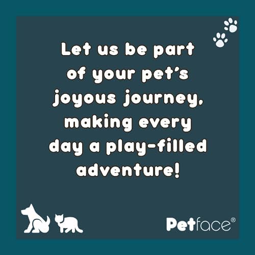 Petface Retro Floppy Disk Plush Dog Toy | Durable & Lightweight, Fun Design, Great for Fetch & Cuddle, Indoor & Outdoor Play