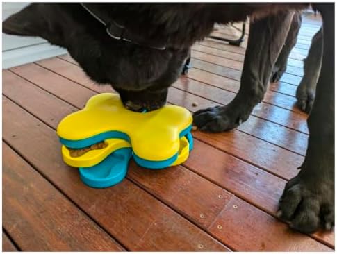 Interactive Dog and Cat Games Treat Hiding Challenge, 11 Inch | Tornado Game, Mental Stimulation, Rewards