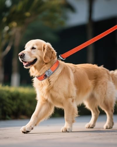 Joytale Reflective Dog Collar for XLarge Dogs with Wide Padding, Orange
