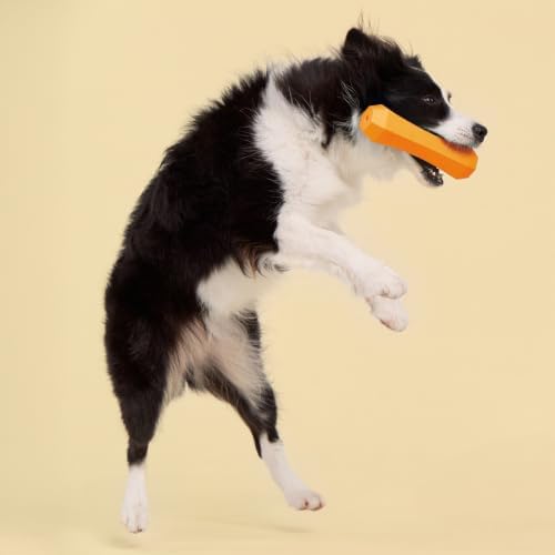 Playology Squeaky Chew Stick - Scented Dog Toy - Jumbo, Cheddar Scent | Rubber Construction, All Natural Scent, Durable Design