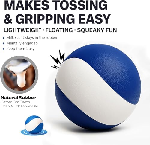 Squeaky Dog Toy, Durable Rubber Ball, Medium & Large Dogs, Ocean