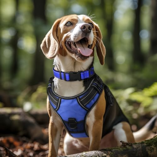 Joytale Reflective Dog Collar, Adjustable Neoprene Padded, Navy Blue XL