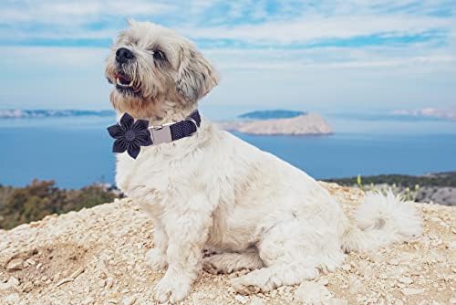 Lionet Paws Dog Collar with Flower, Soft and Comfortable, Adjustable Collar for Puppies and Cats Girl, Neck 8-12 inches