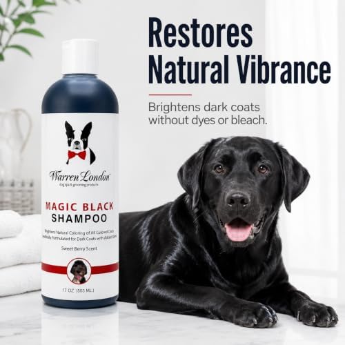 Warren London Magic Black Dog Shampoo | Brightens Any Dog Coat | Formulated for Darker Dog Coats | Puppy and Cat Safe Grooming Supplies | Berry Scent 128 Ounce, Made in USA