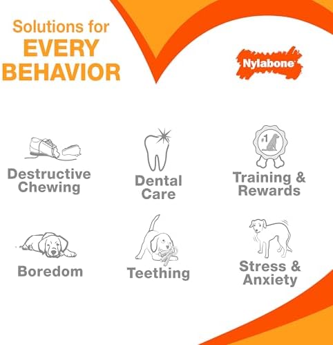 Nylabone Oval Ring Flexi Chew Toy for Dogs, Flexible Dog Toys for Moderate & Gentle Chewers, Chicken Flavor, Medium - Up to 35 lbs, 1 Count